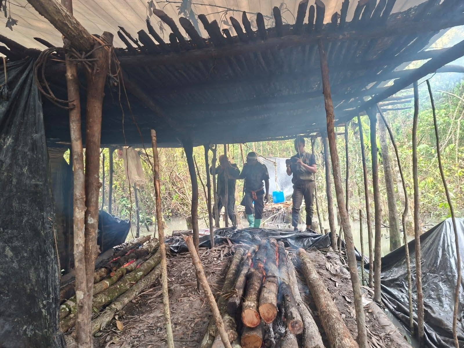 সুন্দরবন